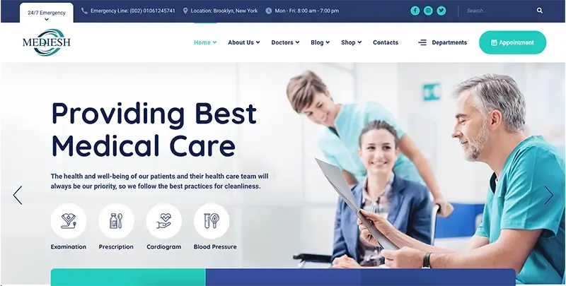 Healthcare Website Development Services in Faridabad